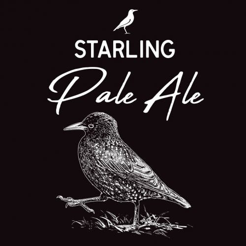 Image for Starling Pale Ale beer