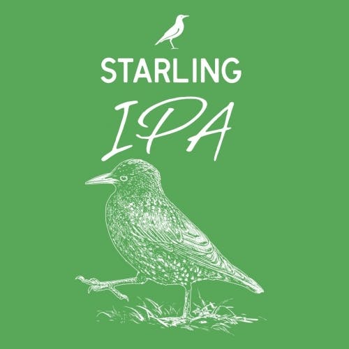 Image for Starling IPA beer